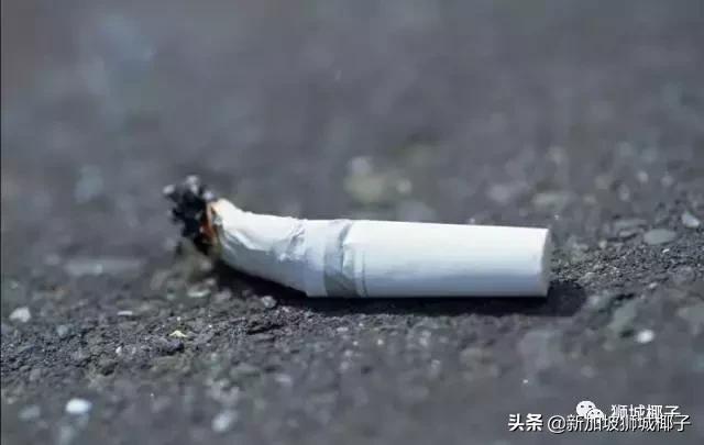 在这一点上，新加坡比中国绝大多数城市做的都好