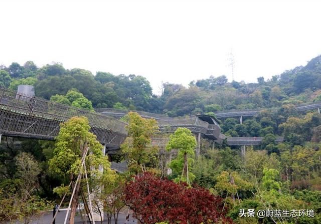 福州“福道”城市空中廊道-绿道