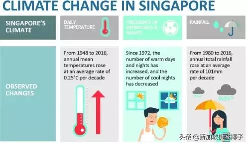 新加坡政府要给组屋免费改造了，住在HDB太幸福