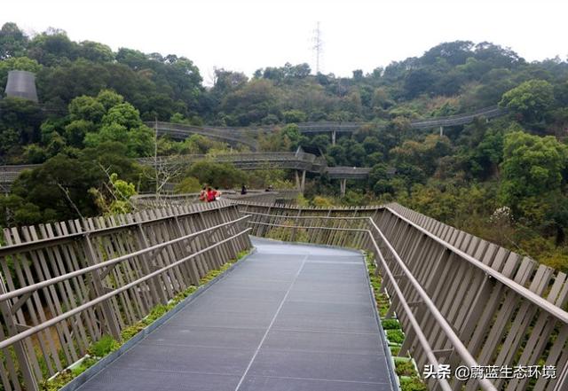 福州“福道”城市空中廊道-绿道