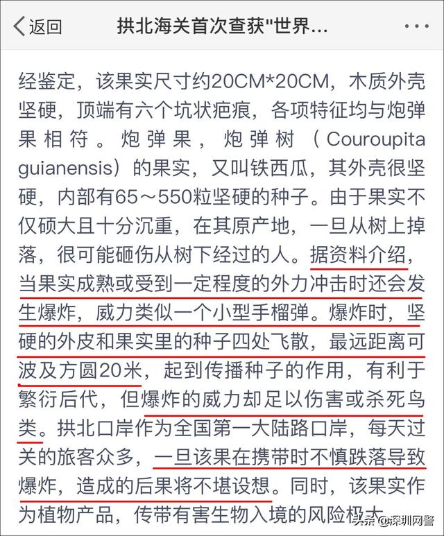 炮弹果爆炸威力类似小型手榴弹？广州日报道歉