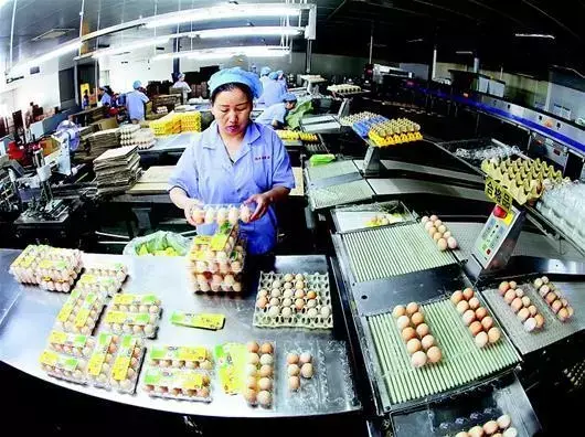 【湖北日报·孝感观察】擦亮“孝感造”名片，把一枚蛋做到中国第一！