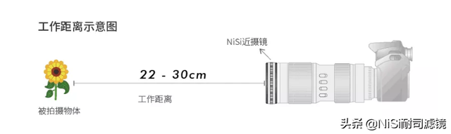 「测评」哈苏大师赛冠军——新加坡摄影师JoSeph的近摄镜测评