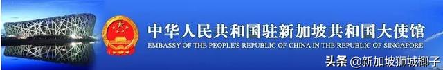 中国驻新大使馆重要提醒：办理护照、旅行证记得提前网上预约！