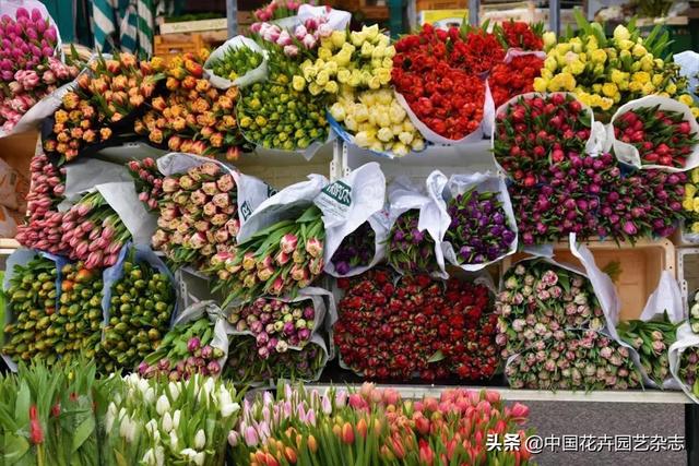 去越南寻找花卉产业商机——2020越南花卉园艺及果蔬展览会将举办 | 动态