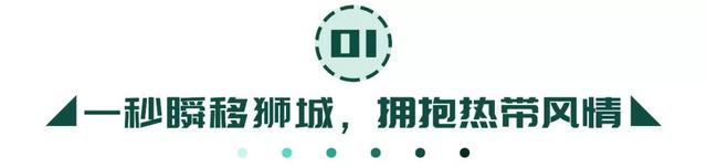 青岛首家！新加坡融合美食暹罗街空降保利广场！一秒穿越东南亚