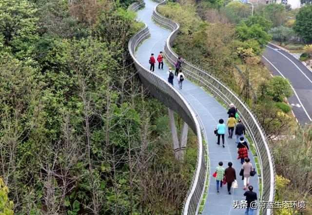 福州“福道”城市空中廊道-绿道