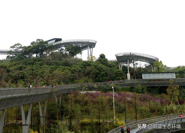 福州“福道”城市空中廊道-绿道