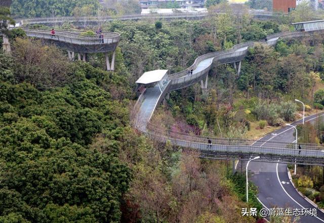 福州“福道”城市空中廊道-绿道