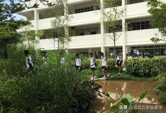 留学攻略：新加坡特色“没有围墙的教室”如何学习？