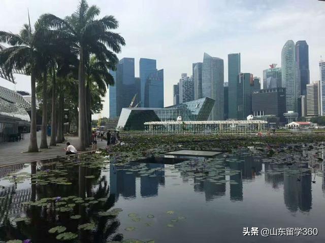 新加坡留学，那些需要被塞进行李箱的物品清单