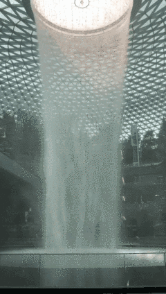 风大雨大冷死了！我在新加坡冻成狗