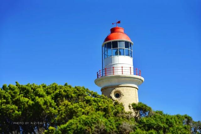 赴澳旅游注意，若带蜂蜜制品上岛，将被判两年监禁或8000澳元罚款