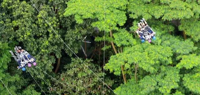 狂砸85亿，把瀑布雨林搬进室内，新加坡樟宜机场又要火了！