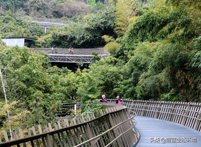 福州“福道”城市空中廊道-绿道