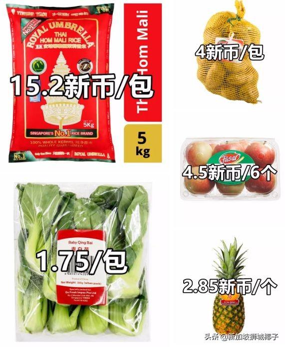 杂菜饭7新币！快吃不起了~新加坡一周生活费到底有多贵？