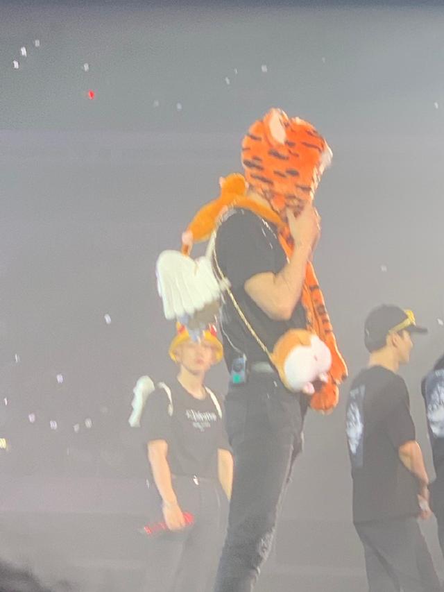「EXO」「分享」190916 老虎帽+柯基屁股包+小天使翅膀，灿烈演示把伯贤穿上身