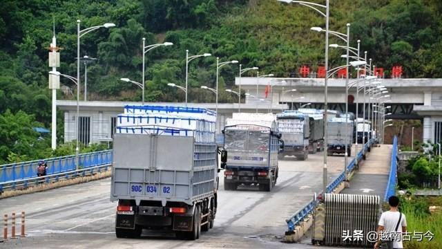越南荔枝大丰收，外销全球30个国家，向中国出口1.1万吨