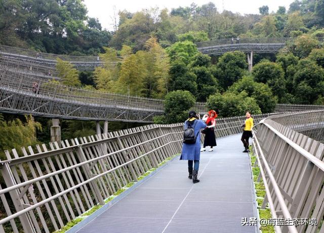 福州“福道”城市空中廊道-绿道