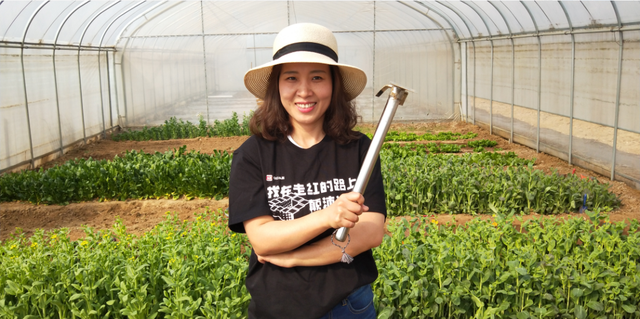 河北70后教全球100万网友种菜，有个阳台就能吃上绿色蔬果