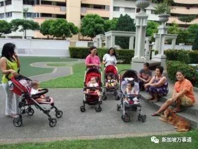 在新加坡养个娃竟然比买套房还贵，平均要花68万新币