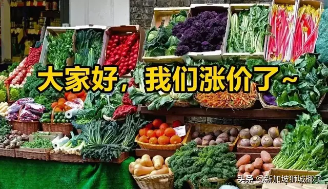本月起！新加坡一波东西都涨！价！了！菜价最高会飙高三倍！