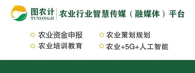 日本、新加坡、台湾、德国、以色列这样卖农产品