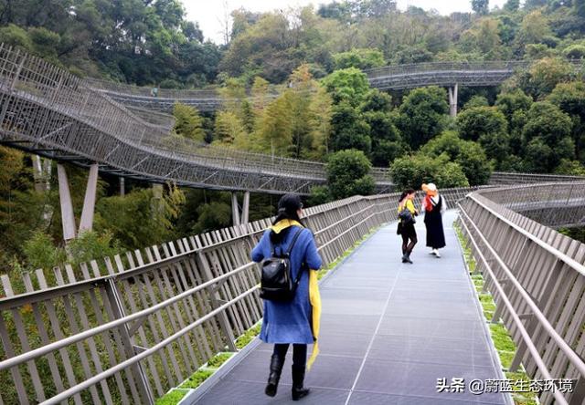 福州“福道”城市空中廊道-绿道