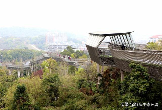 福州“福道”城市空中廊道-绿道