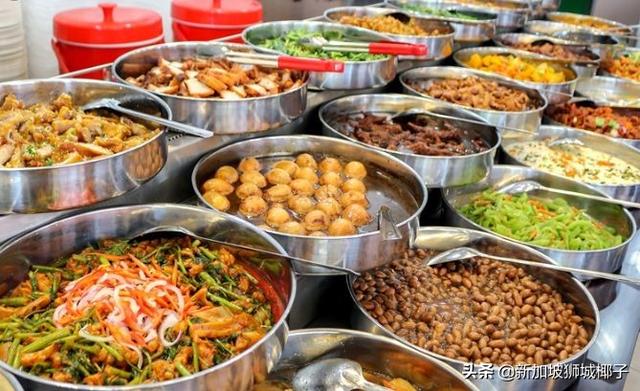 杂菜饭7新币！快吃不起了~新加坡一周生活费到底有多贵？