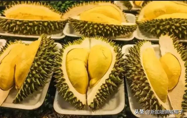 在新加坡第一次吃水果的搞笑经历，太太太太太太尴尬！！！！