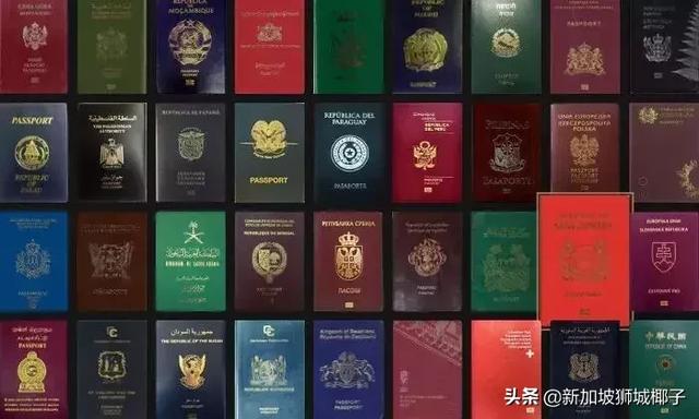 中国驻新大使馆重要提醒：办理护照、旅行证记得提前网上预约！