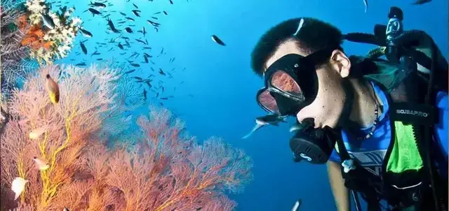 刁曼岛 不能错过世界排名前十的浮潜胜地!阳光~海滩~五彩海底世界