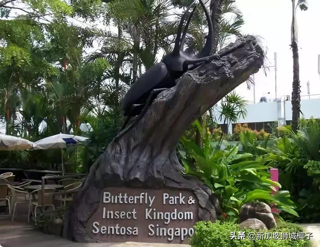 新加坡最适合家庭游玩的20个地点，遛娃走起~