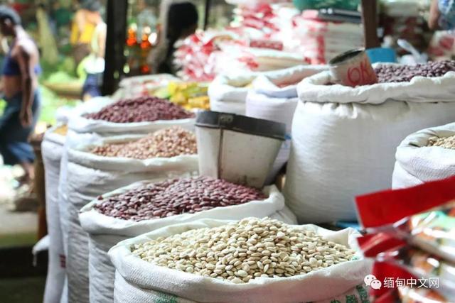 缅甸豆类价格“过山车”式暴涨暴跌！豆商：心脏不好都不敢做生意