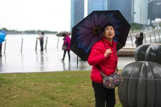 风大雨大冷死了！我在新加坡冻成狗