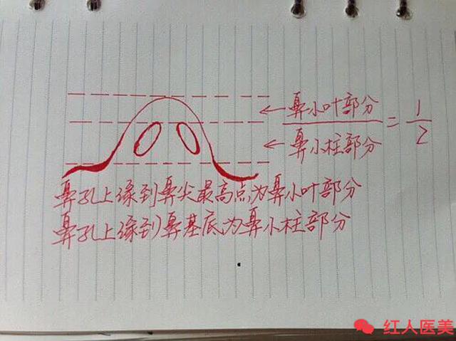 说说我认识的鼻综合