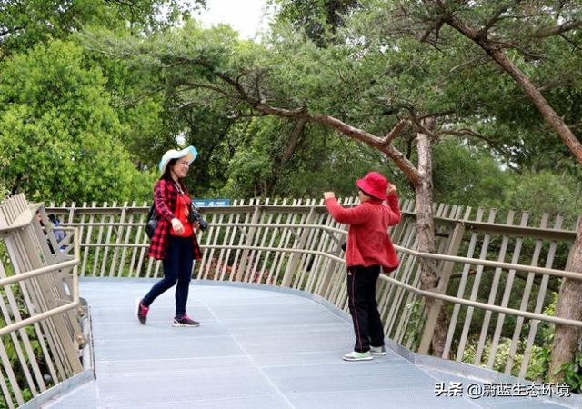 福州“福道”城市空中廊道-绿道