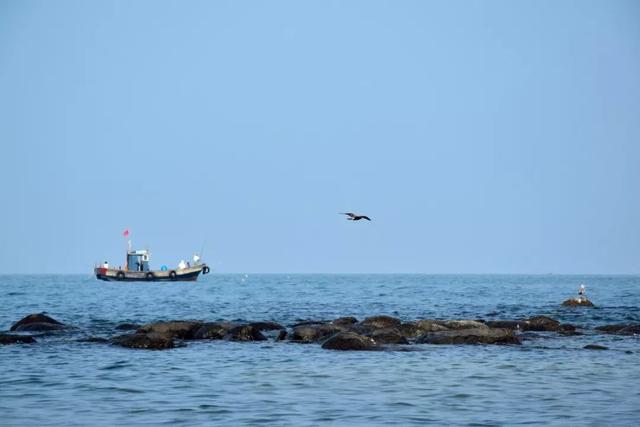 机票跳楼价！从上海直飞这些地方，最低仅180元