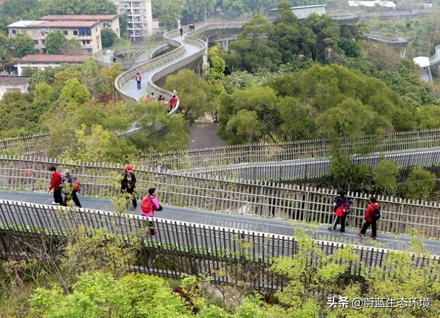 福州“福道”城市空中廊道-绿道