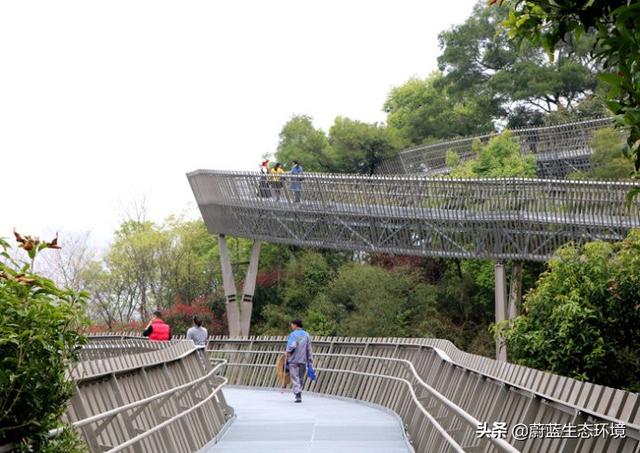 福州“福道”城市空中廊道-绿道