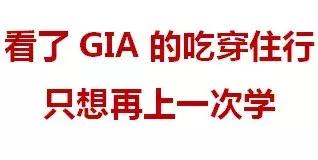 小浪探校丨城东这所国际学校，背景硬！满足你对精英的所有想象