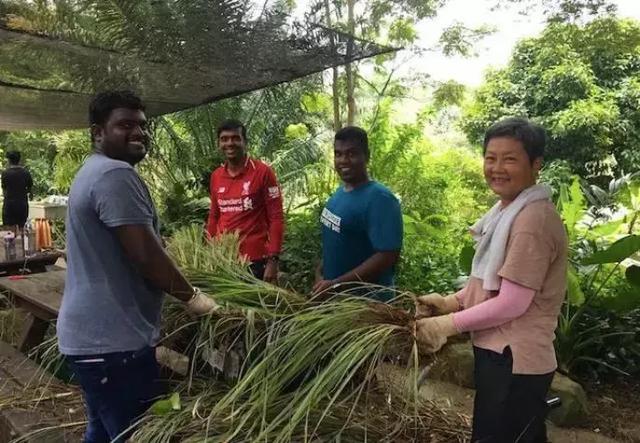 为什么新加坡这么多老人在工作，难道老了都要端盘子吗？