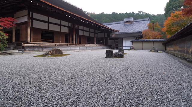 “一花一园一城”宣传片日本篇——落樱缤纷