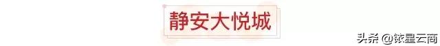 全球首家Swisse玩美养生馆，上海购物中心3月最新进品牌汇总