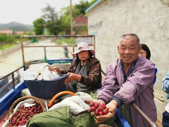 榴莲牛油果在中国活成网红，95后创业咋玩烟台大樱桃