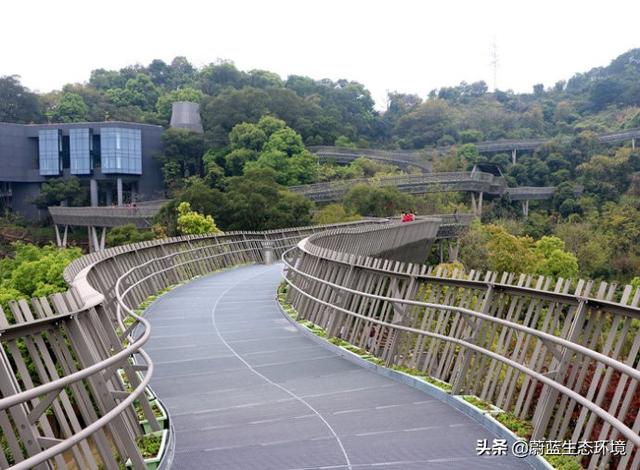 福州“福道”城市空中廊道-绿道