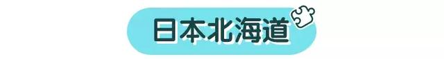 一年带娃玩了7个国家，留下了很多美好的回忆