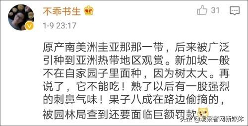 这种水果叫炮弹果会爆炸？这是一起海关人员被媒体坑了的沙雕事件