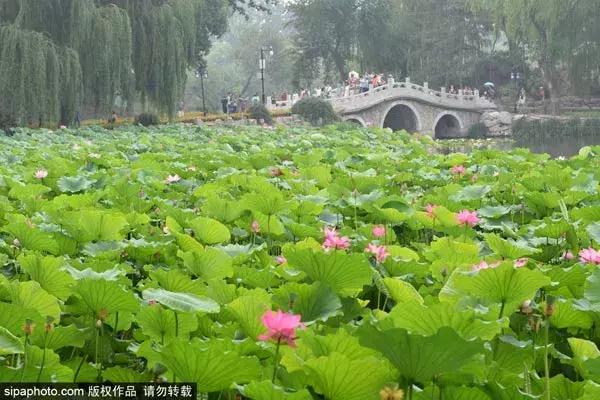 外地朋友来北京，带TA怎么玩？8条游玩路线，N个标志性景点任您选！